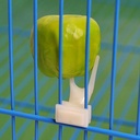 157206429159.jpg