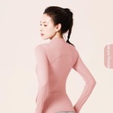 e55802d5-856c-4f70-8c08-6cd0135a212e_trans.jpeg
