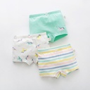 135def2f-cb5c-4822-bead-643313f758a2.jpg