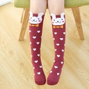 bd985bfc-49a4-4e2a-be61-583c649ef0e7.jpg