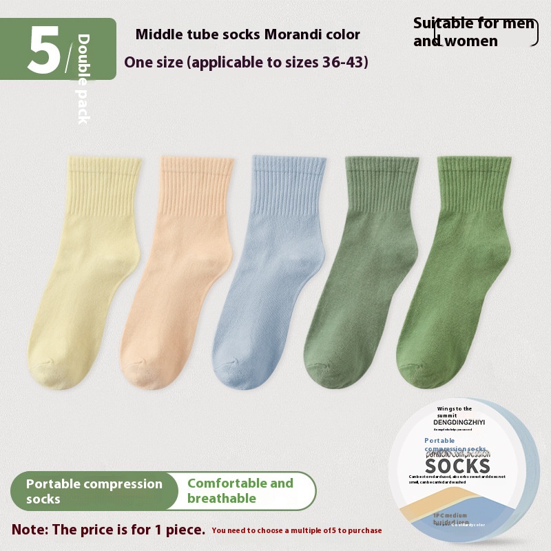 f0407133-b6b3-4c29-8051-8153a5847dbe_trans.jpeg