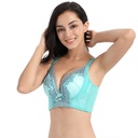 78bde18d-ace0-4947-b3db-1bea7dde2763.jpg