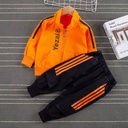 b701ef1f-b851-4b44-80a2-9597ebc8c6e3.jpg