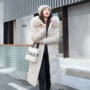 beadd6da-fd16-421e-b599-2f6a40a637cc.jpg