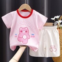 f9222a21-d26e-402b-94c6-1eb8663ae647.jpg