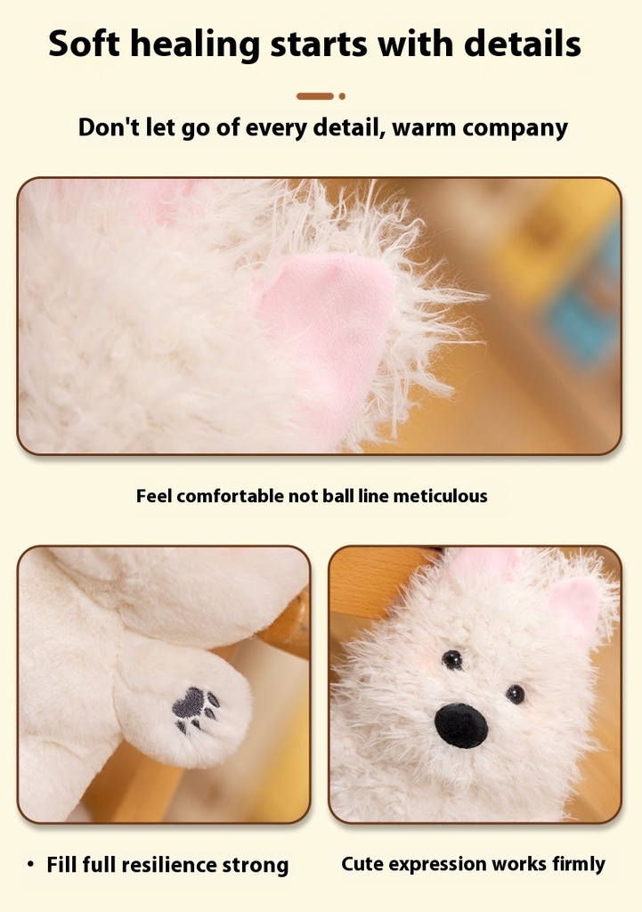 a08cb9ef-ce16-4b32-afd8-c8019c11258e.jpg