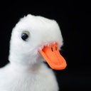 a64e33e7-b3a1-4f15-b1b0-d7ca30cc607d.jpg