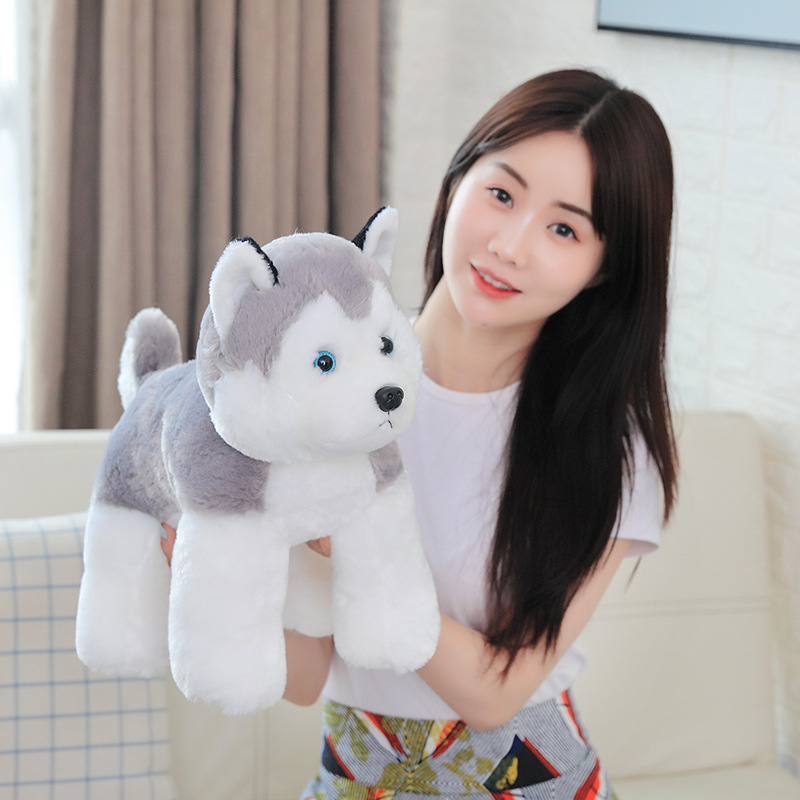 8b3f2bd8-8735-4f8b-bf9b-0bc04b3bb445.jpg