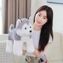 8b3f2bd8-8735-4f8b-bf9b-0bc04b3bb445.jpg