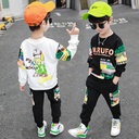 d97b7afe-cacb-496f-86b1-4e24d36020a3.jpg