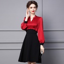 Bubble Sleeve Pearl Button Dress