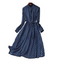 Women's Four Leaf Clover Print Long Sleeve Dress