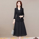 Suit Dress Autumn Long-sleeved Plus Size High-end Temperament Skirt