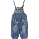 Age-reducing Denim Overalls Shorts Women's Printed Stitching Casual