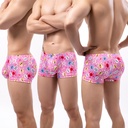 Polyester Personality Print Men's Underpants