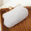An elegant women's evening bag adorned with luxurious pearl embroidery, adding a touch of sophistication and charm to any occasion