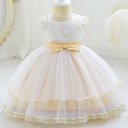 Girls' princess dress featuring elegant embroidery and a delicate mesh overlay — perfect for special occasions and a graceful look