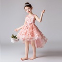 Children's Princess Dress with Lace and Elegant Train – Perfect for Various Occasions