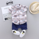 Stylish and casual kids' outfit – includes a short-sleeve shirt paired with matching shorts
