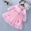 A girls’ spring mesh dress with long sleeves