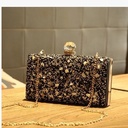 Crystal-embellished evening bag, worn crossbody or carried by hand