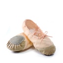 Cat Claw Ballet Dance Shoes