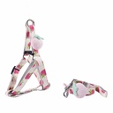 A dog collar and leash set with colorful fruit-themed prints in a modern design
