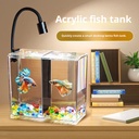 Thickened Fish Tank Building Blocks Small Acrylic Tabletop For Landscaping