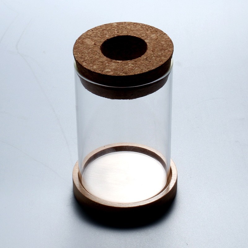 Ecological Bottle Micro Landscape Fish Tank