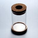 Ecological Bottle Micro Landscape Fish Tank