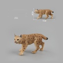 Wild Simulation Animal Toy Model