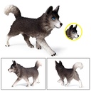 Simulation Static Solid Wild Animal Model Husky Pet Dog