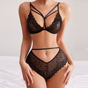 Women's French Beauty Back Lace Perspective Bra Set