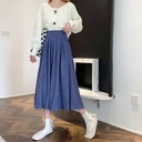 Women's High Waist Thin Temperament Skirt