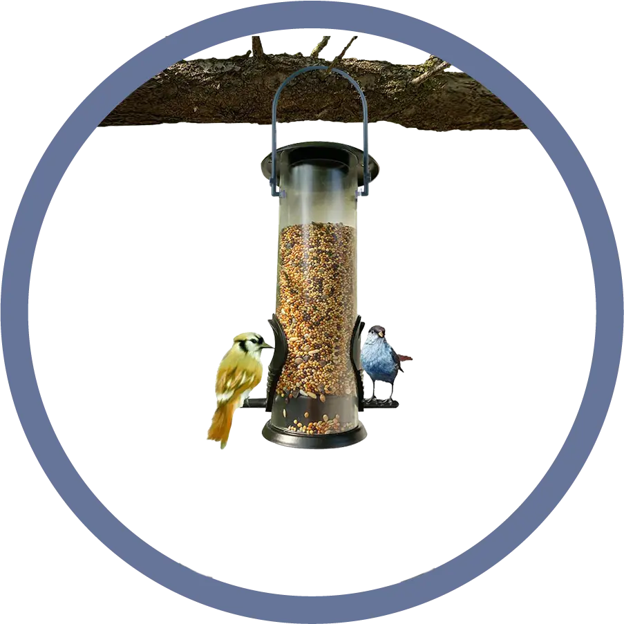 Bird Feeders