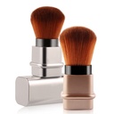 Portable Multi-Functional Makeup Brush with Stylish and Elegant Design