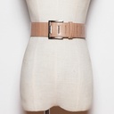 Elegant Women's Belt with Metal Pin Buckle Design
