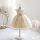 Girls' princess dress featuring elegant embroidery and a delicate mesh overlay — perfect for special occasions and a graceful look