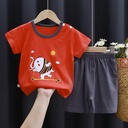 Comfortable Summer Kids' Set – Cotton Short-Sleeve T-Shirt for a Stylish and Practical Look