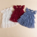 Enchanting Girls’ Mesh Dress with Sequin Embellishments