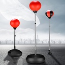 Home Boxing Speed & Reaction Training Stand