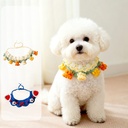 Cute Knitted Collars for Cats and Small Dogs