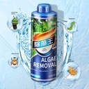 Fish Tank Algaecide – Anti-Algae Treatment for Aquariums and Ponds