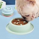 Pet Slow Feeder Bowl with Anti-Choking Design