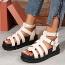 Hollow-out Belt Buckle Platform Pig Cage Sandals Women's Foreign Trade Roman Shoes