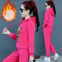 Two Piece Gold Velvet Sports Suit Casual Wear
