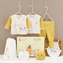 Luxury Cotton Newborn Clothing Set 