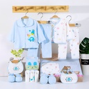 Luxury Cotton Newborn Clothing Set 