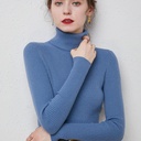 Turtleneck Sweater Women Slim Padded Inner Style