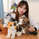 Simulation Cat Plush Toy Cartoon Doll Lovely Soft Cute Companion